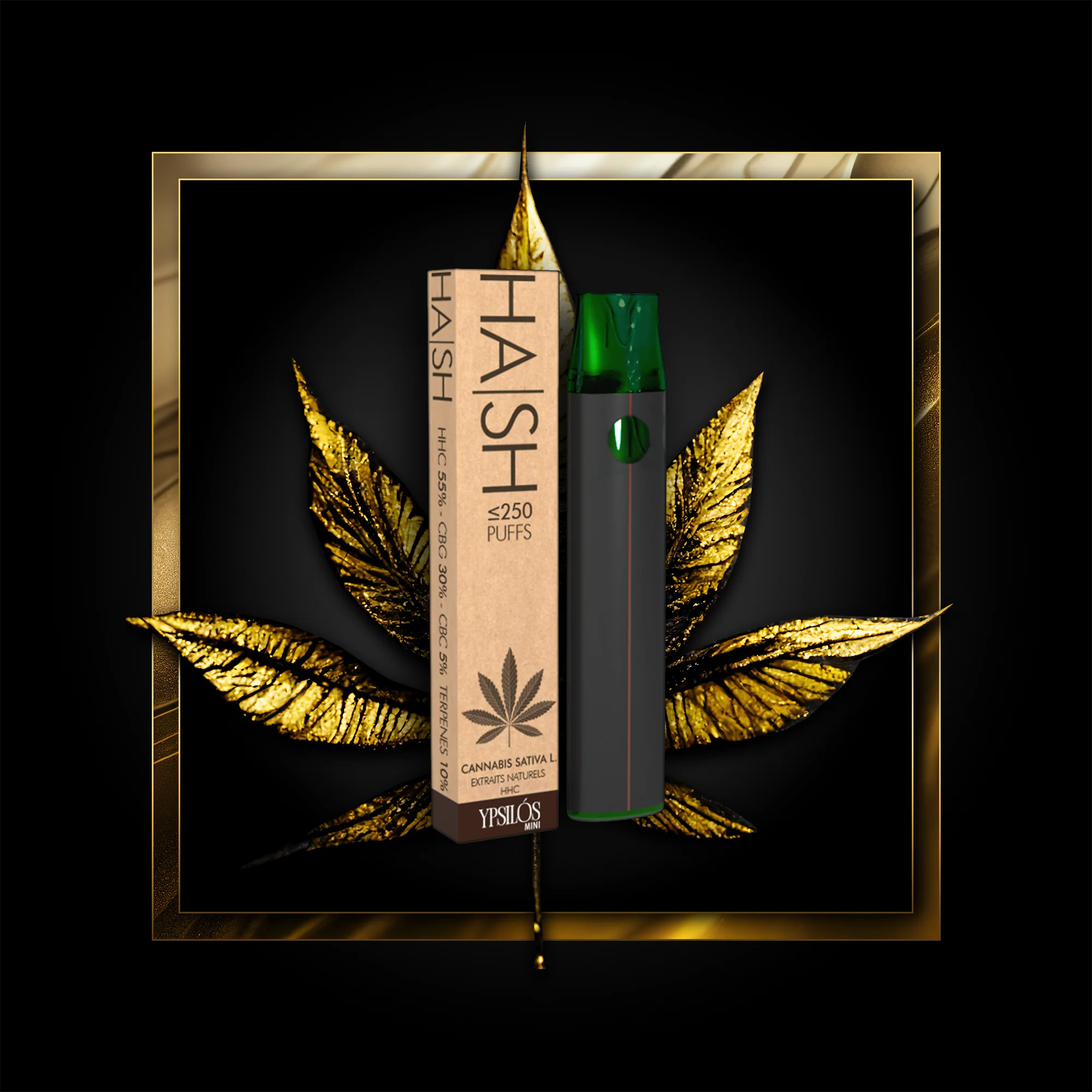 Hash (de unică folosință) 250 pufuri - 0,50 ml. HHC